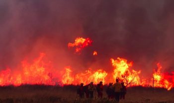 Image 1-24-25 at 9.39 AM